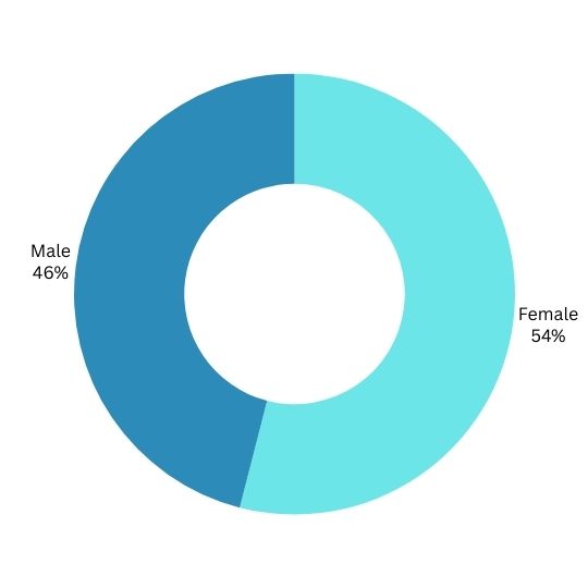 pie chart of sex demographic